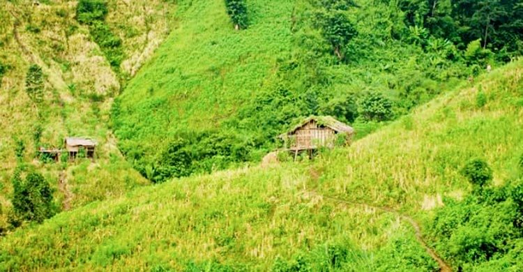 সেনা সদস্য নিহত বান্দরবানে বোমা বিস্ফোরণে