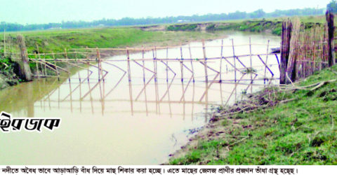 অবৈধ বাঁশের খাঁটি কমলগঞ্জের লাঘাটা ও পলক নদীতে