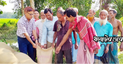 কমলগঞ্জে বন্যায় ক্ষতিগ্রস্তদের মধ্যে চাল বিতরণ