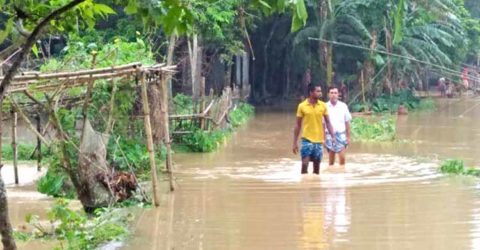 মৃগী নদীতে পানি বেড়ে শেরপুরে ৪০ গ্রাম প্লাবিত