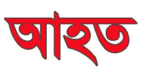 কমলগঞ্জে আপন ভাইয়ের কুপে দুই ভাই আহত