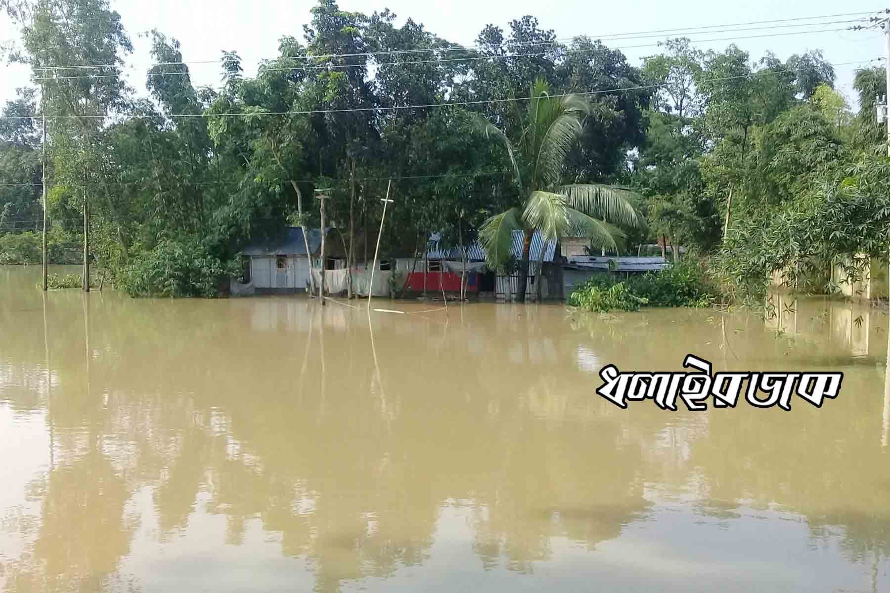 কমলগঞ্জের নিম্নাঞ্চলের পানিবন্দি পরিবারের মধ্যে এখনও কোন ত্রাণ পৌঁছায়নি।