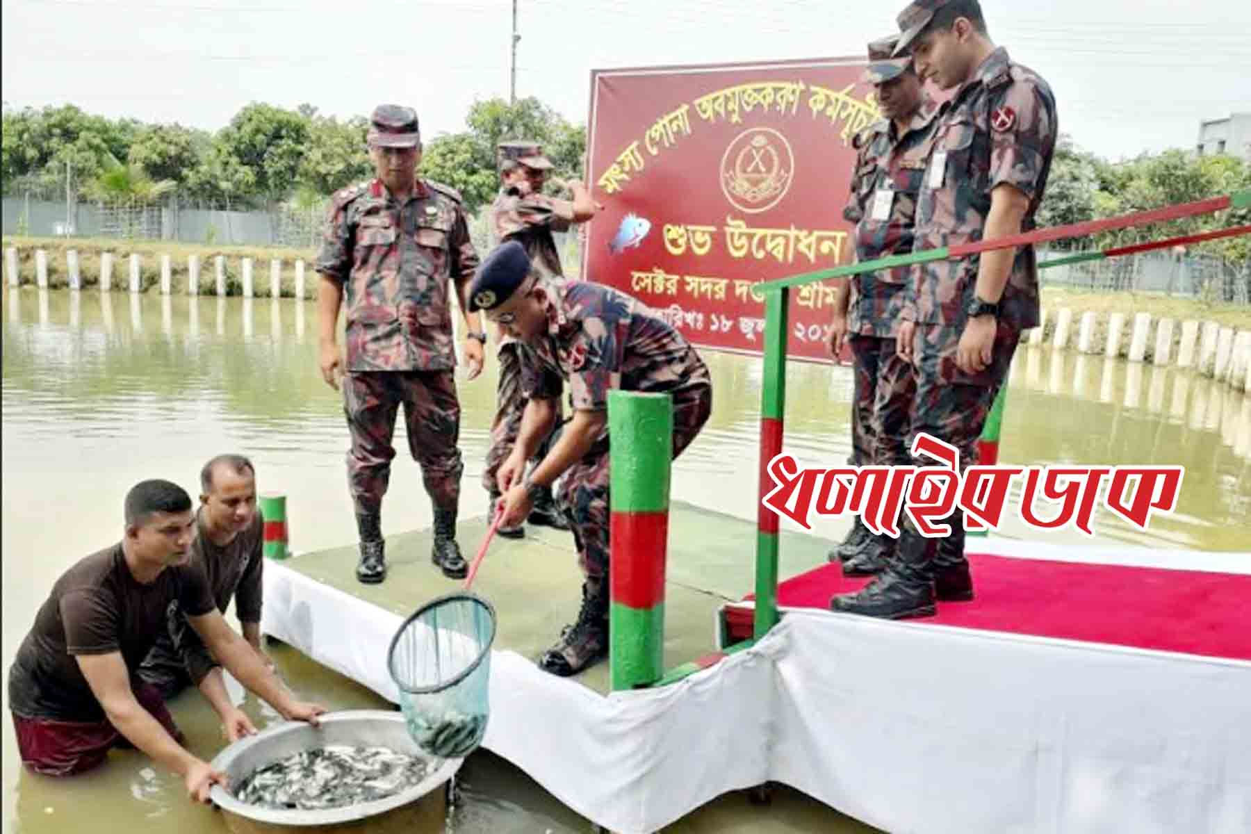 বিজিবির উদ্যোগে দশ হাজার মাছের পোনা অবমুক্ত