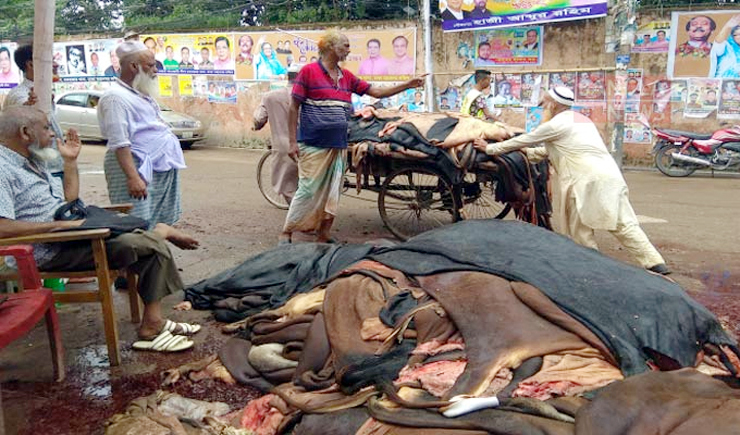 কাঁচা চামড়া কেনা শুরু করেছে ট্যানারি মালিকরা