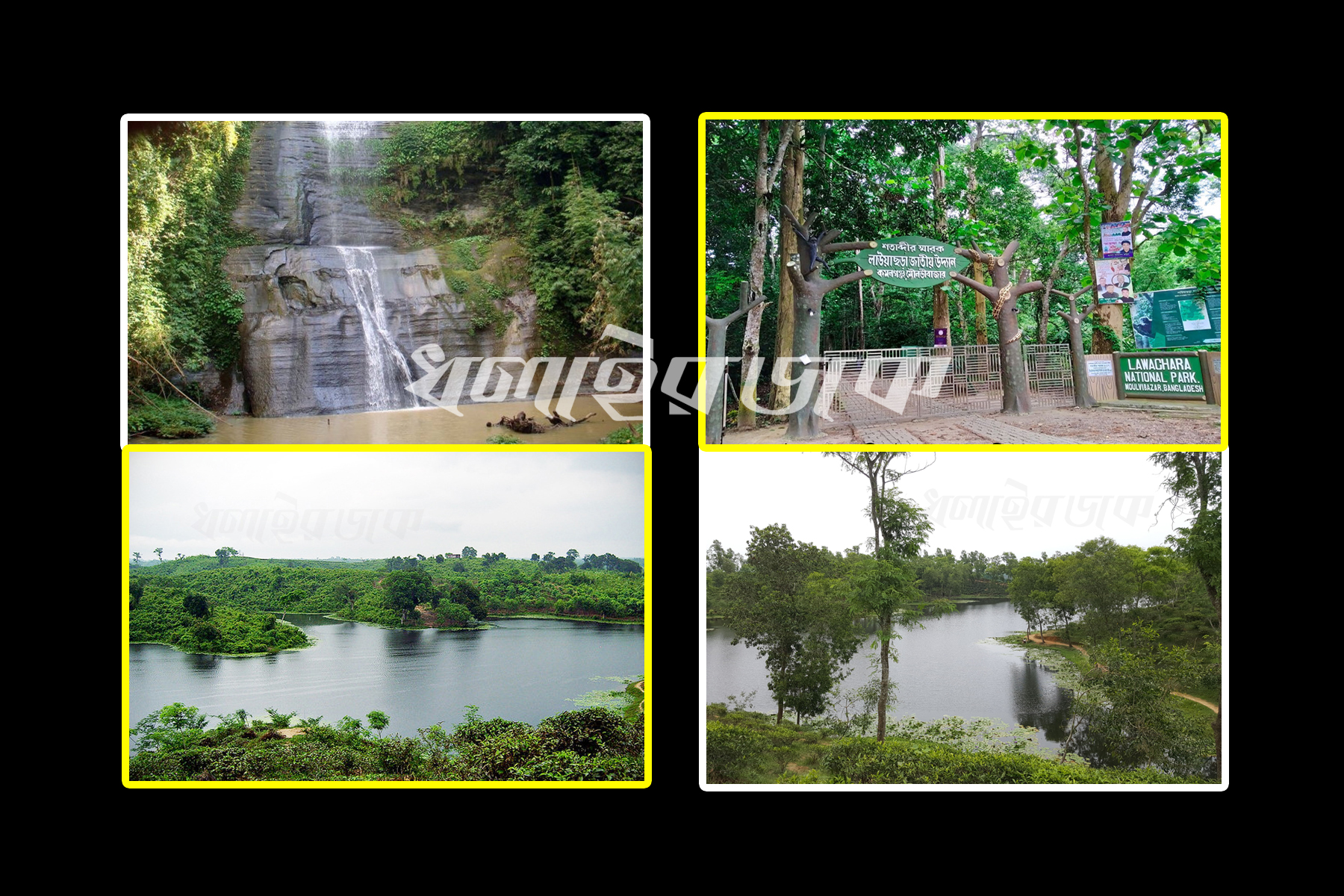 ঈদুল আযহার টানা ছুটিতে পর্যটকদের বরণে প্রস্তুত কমলগঞ্জের পর্যটন কেন্দ্রসমুহ