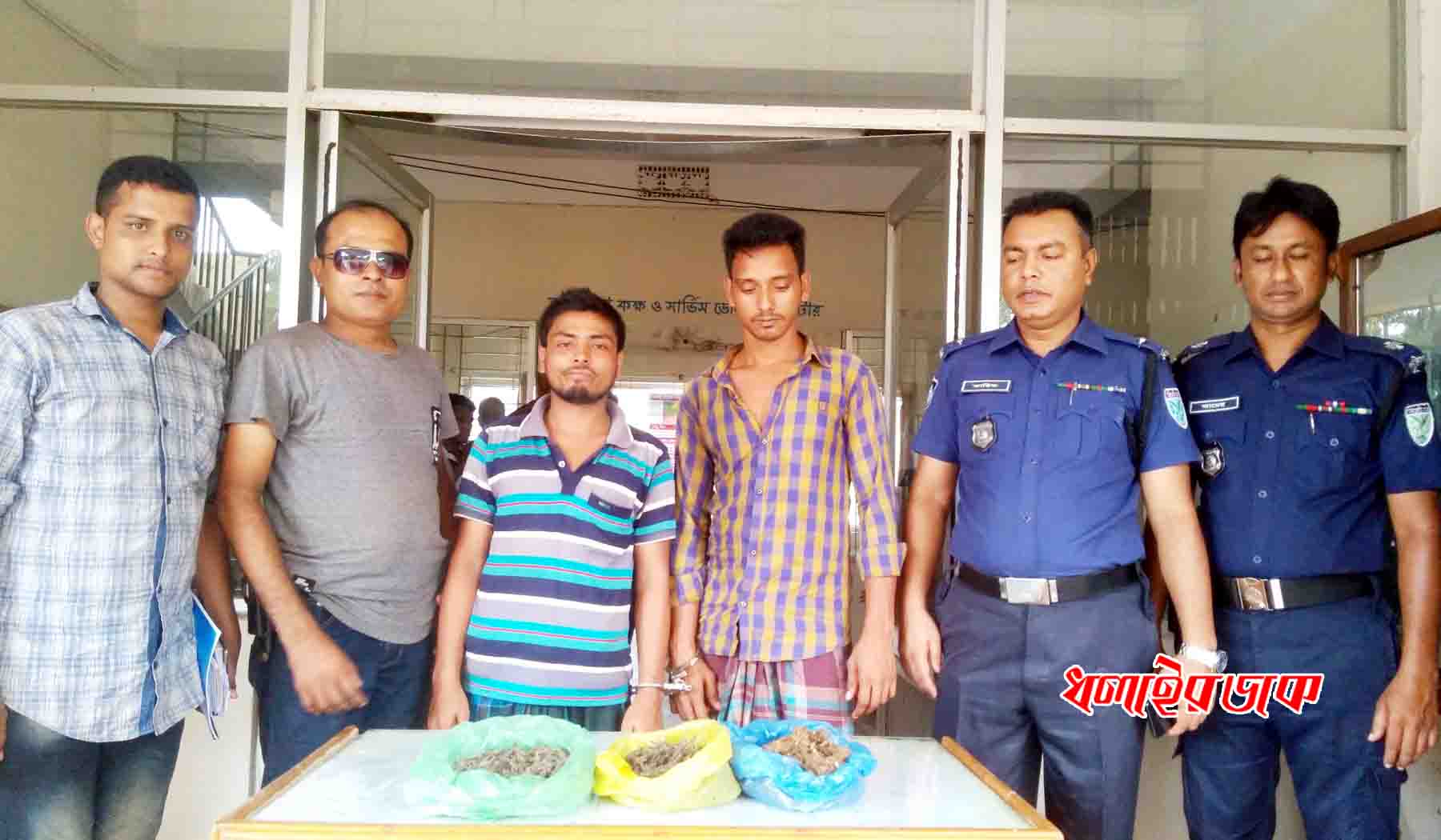 কমলগঞ্জে গাঁজাসহ আটক ২