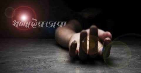 টেলিভিশন চালু করতে গিয়ে স্কুলছাত্রের মৃত্যু