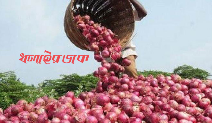 পেঁয়াজ রফতানি বন্ধ করলো ভারত