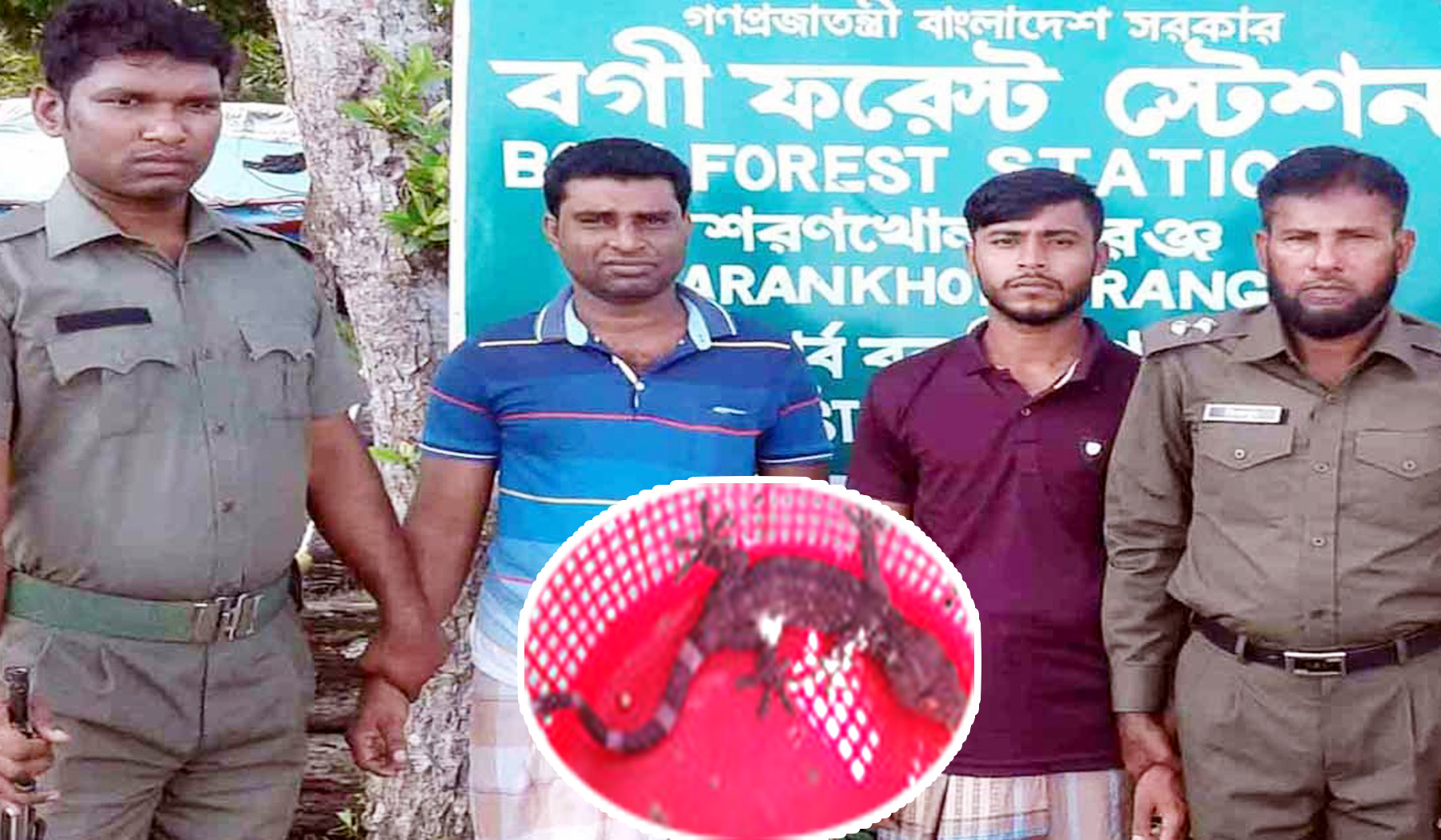 সুন্দরবনে তক্ষকসহ দুই পাচারকারী আটক