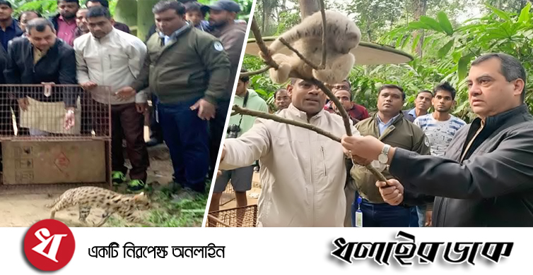 বন ও পরিবেশ মন্ত্রণালয়ের সংসদীয় কমিটির সভাপতি সাবের হোসেন চৌধুরীর লাউয়াছড়া পরিদর্শন ও বন্যপ্রাণী অবমুক্ত