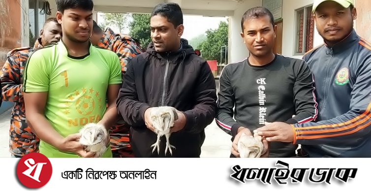 কমলগঞ্জে তিনটি লক্ষ্মীপেঁচার বাচ্চা উদ্ধার