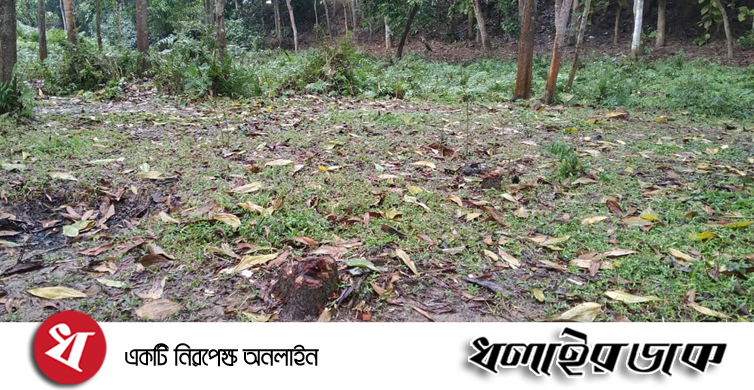চাঁদা না দেয়ায় দোকান দখল ও গাছ কেটে নেয়ার অভিযোগ কুলাউড়ার শরীফপুরে এক মাদক স¤্রাটের যন্ত্রনায় অতিষ্ঠ প্রবাসী সহোদর