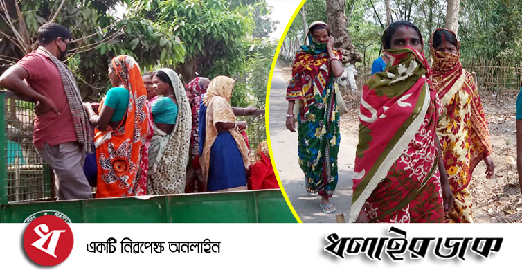 কমলগঞ্জে “করোনা ভাইরাসের” মধ্যেও ঝুঁকি নিয়ে কাজ করছে চা শ্রমিকরা !