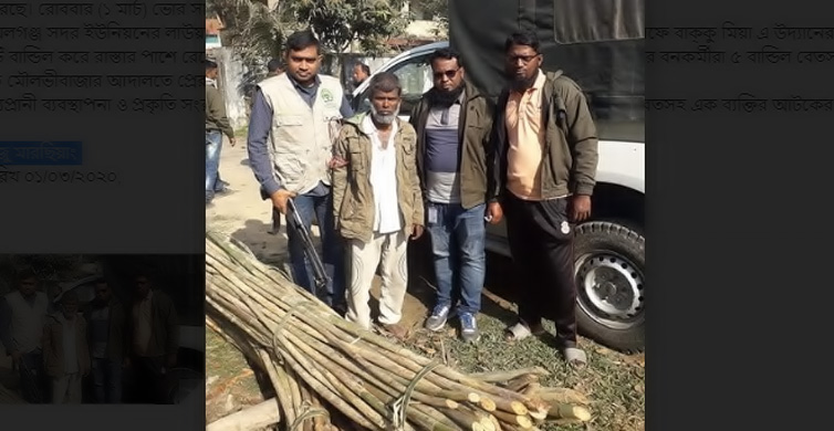 লাউয়াছড়া বন থেকে পাচারকালে ৫ বান্ডিল বেতসহ আটক ১