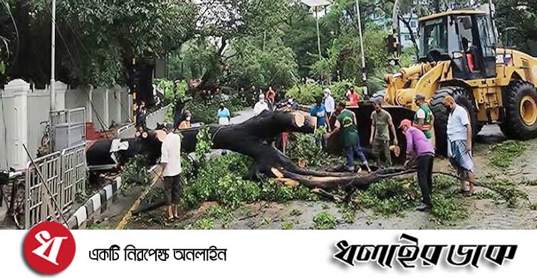 রাজধানীতে ঝড়-বৃষ্টি, উপড়ে পড়েছে গাছ