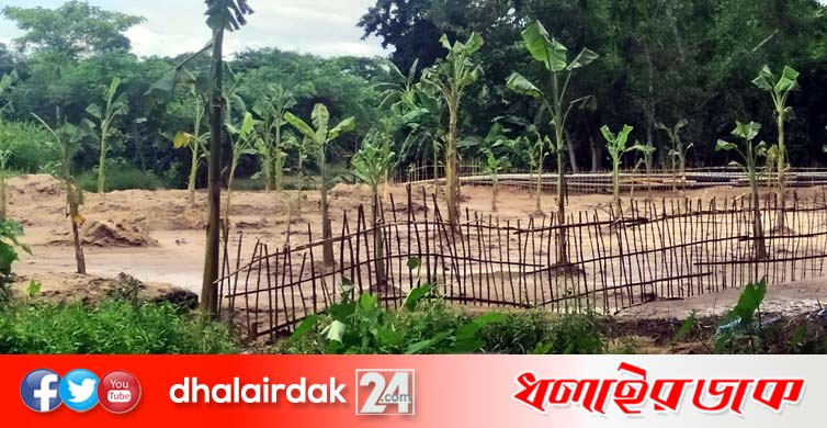 কুলাউড়ার কঠারকোনায় প্রভাবশালী কর্তৃক নিরীহ ব্যক্তির খরিদা ভূমি দখল করে কলাগাছ রোপন ॥ থানায় অভিযোগ