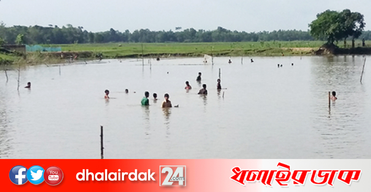 কমলগঞ্জে দুবৃত্তদের বিষ ঢেলে দেওয়ার কারণে দিঘীতে সব মাছ মরে ভেসে উঠছে