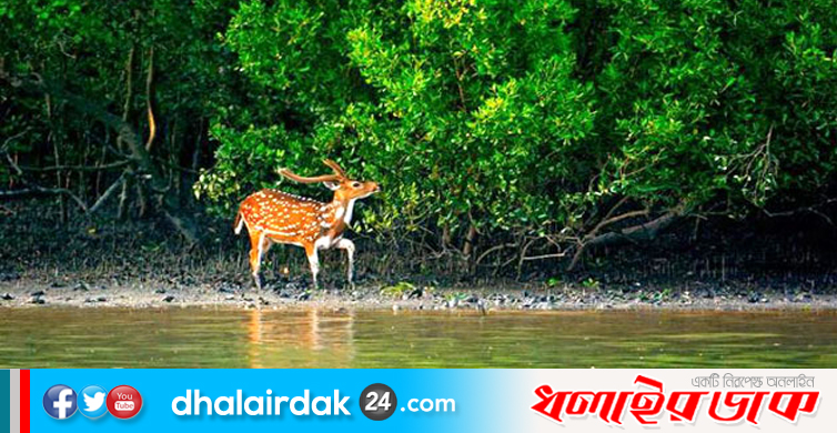 ট্রেনে যাওয়া যাবে সুন্দরবন, দেড় হাজার কোটি টাকার প্রকল্প