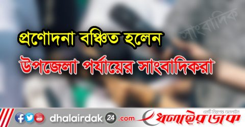 করোনাকালীন সময়ে সরকারের প্রণোদনা বঞ্চিত হলেন উপজেলা পর্যায়ের সাংবাদিকরা