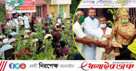 আওয়ামীলীগের প্রতিষ্ঠা বার্ষিকীতে কমলগঞ্জ পৌরসভার পক্ষ থেকে গাছের চারা বিতরণ