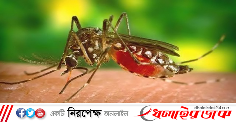 দেশে একদিনে ডেঙ্গুতে রেকর্ড শনাক্ত