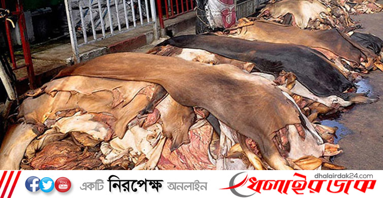 কোরবানির পশুর চামড়ার মূল্য নির্ধারণ করল সরকার