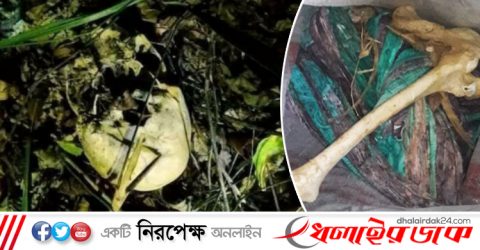 কমলগঞ্জে জঙ্গল থেকে মাথার খুলি ও হাড় উদ্ধার