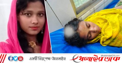 কমলগঞ্জে গরু খেল ধান, প্রাণ গেলো তরুণী