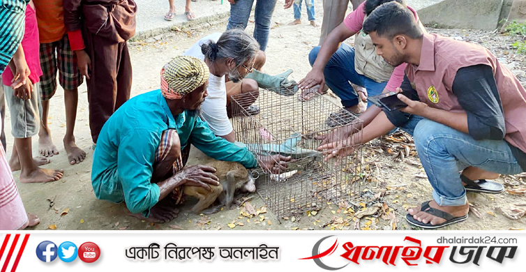 কমলগঞ্জে খাচাঁয় বন্ধি থাকা বানর ও ময়না পাখি উদ্ধার