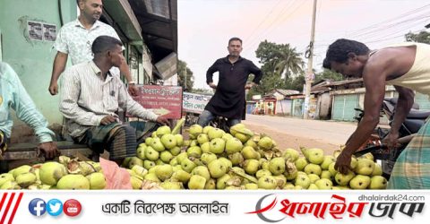 কমলগঞ্জে গরমে বেড়েছে তালের শাঁসের চাহিদা