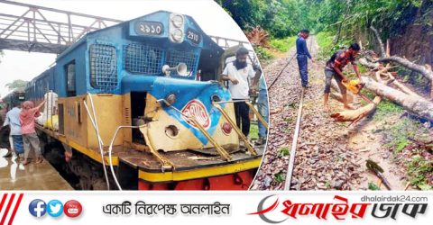 লাউয়াছড়ায় গাছের সঙ্গে ট্রেনের ধাক্কা; দুর্ঘটনা থেকে রক্ষা পেল কালনী এক্সপ্রেস