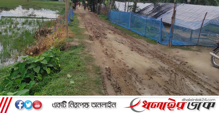 ফসল ফলে, বাজারে পৌঁছায় না—কমলগঞ্জের কৃষকদের হতাশার নাম বনগাঁওয়ের কাঁচা রাস্তা