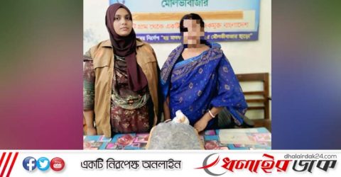 কমলগঞ্জে দেড় কেজি গাঁজাসহ এক নারী আটক