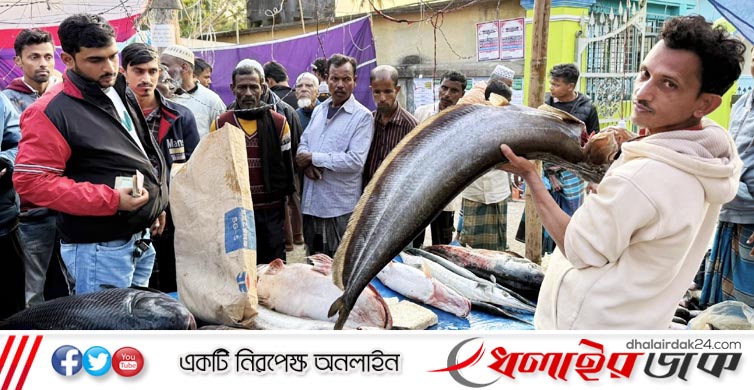 পৌষসংক্রান্তিতে কমলগঞ্জে বসেছে ঐতিহ্যবাহী মাছের মেলা