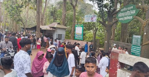 ঈদের ছুটিতে লাউয়াছড়ায় পর্যটকের ঢল, তিন দিনে রাজস্ব আয় ৫ লাখের বেশি