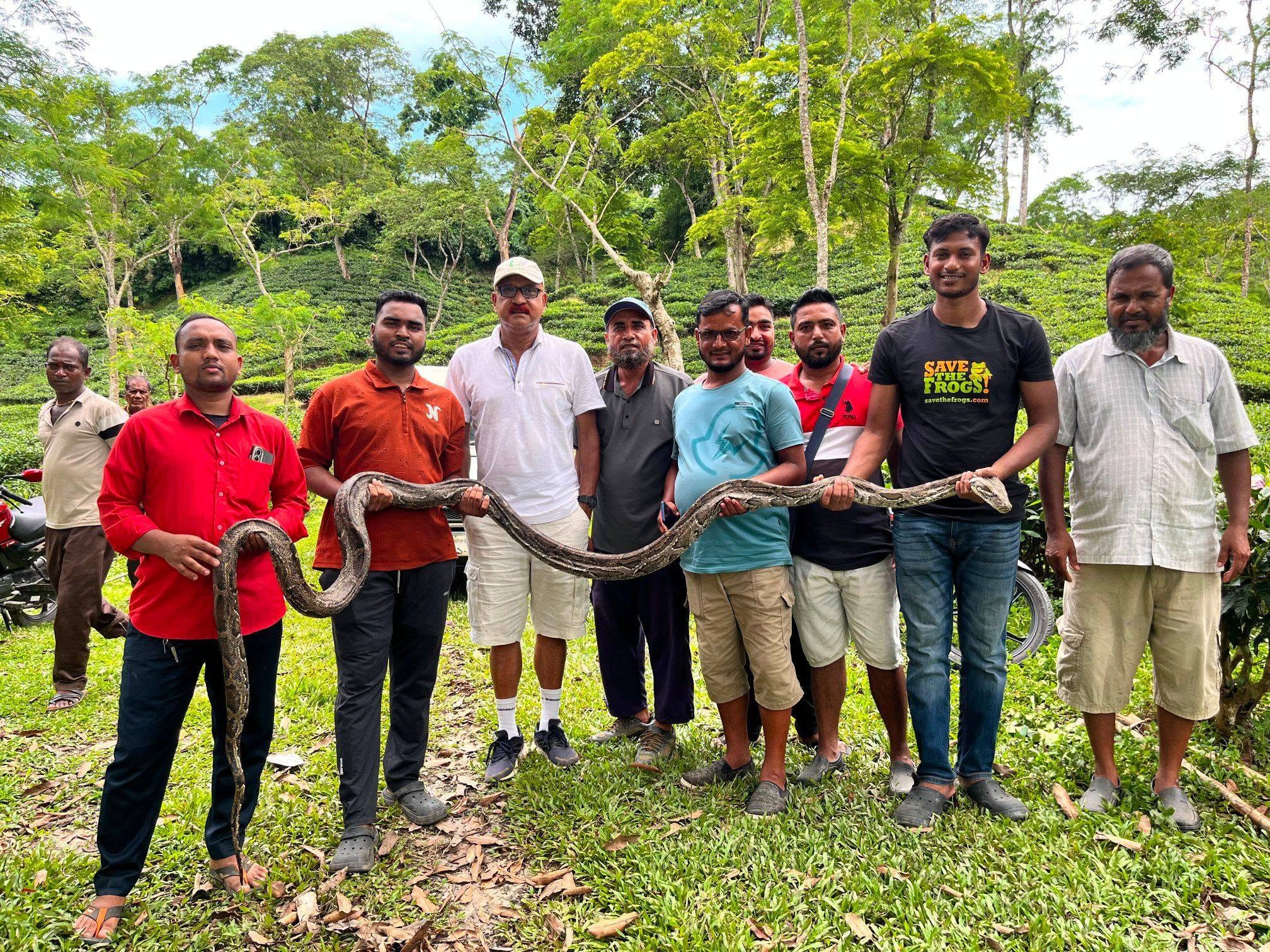 চা বাগান থেকে ১৭ ফুট লম্বা অজগর উদ্ধার, সুস্থ হলে বনে অবমুক্ত করা হবে