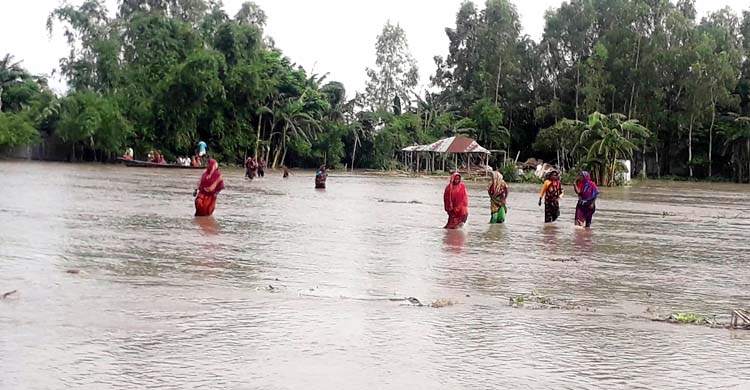 ফের বন্যা নীলফামারীতে, পরিস্থিতির অবনতি