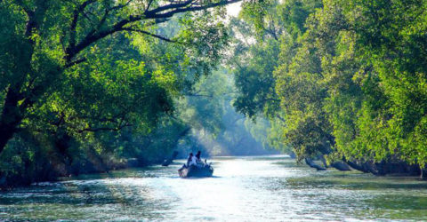 সুন্দরবনে সাত জেলেকে অপহরণ