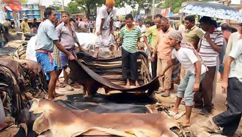 কোরবানির পশুর চামড়ার দাম নির্ধারণ