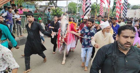 তাজিয়া মিছিলের ঘোড়াকে পথে পথে দুধে গোসল-শ্রদ্ধা