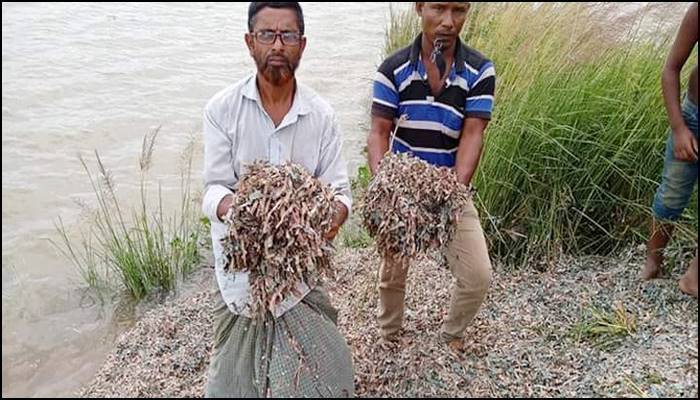 ট্রাক ভর্তি ছেঁড়া টাকায় তুলকালাম বগুড়ায়