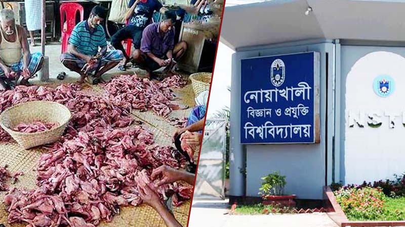 ৭০ হাজার ভর্তিচ্ছুর জন্য বিনামূল্যে থাকা-খাওয়ার ব্যবস্থা