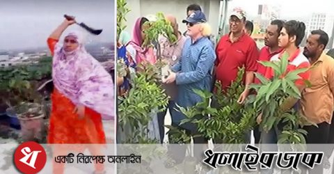 ক্ষতিগ্রস্ত ছাদ বাগান মালিককে গাছ উপহার