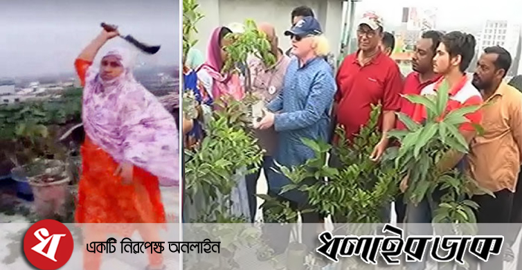 ক্ষতিগ্রস্ত ছাদ বাগান মালিককে গাছ উপহার