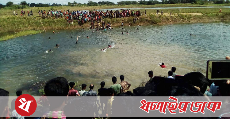 সিলেটে ভারতীয় মহিষের তাণ্ডবে আহত ১৫