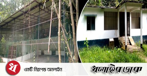 লাউয়াছড়া ওয়াইল্ডলাইফ রেসকিউ সেন্টার জনবল ও চিকিৎসক সংকটে বেহাল দশা সুচিকিৎসা পাচ্ছেনা আহত বন্যপ্রাণী