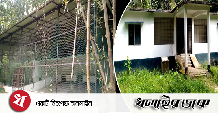 লাউয়াছড়া ওয়াইল্ডলাইফ রেসকিউ সেন্টার জনবল ও চিকিৎসক সংকটে বেহাল দশা সুচিকিৎসা পাচ্ছেনা আহত বন্যপ্রাণী