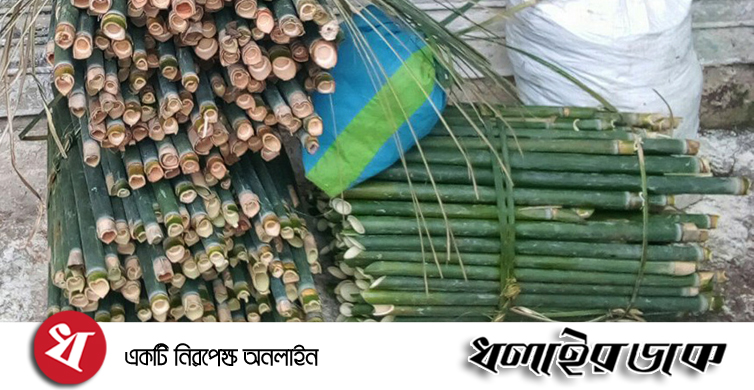 ঐতিহ্যবাহী চুঙ্গাপুড়া পিঠার প্রধান উপকরণ ঢলুবাঁশ হারিয়ে যেতে চলেছে