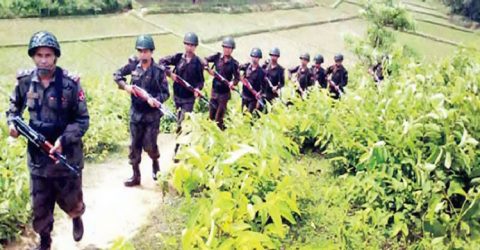 বিজিবির সঙ্গে ১৫ মিনিট গোলাগুলি, দুই রোহিঙ্গা নিহত