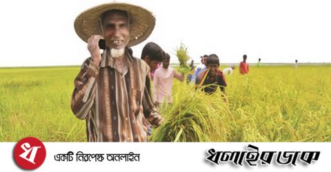 কৃষকের সেবায় হটলাইন চালু